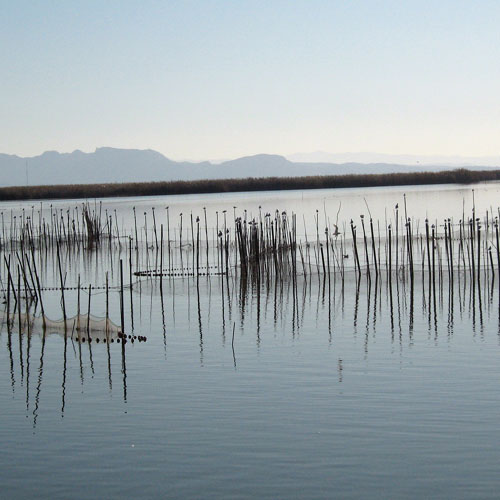 Albufera de Valencia