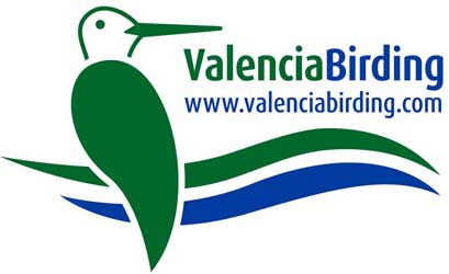 Logo-header