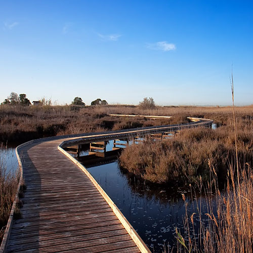 Valencian Coastal Wetlands