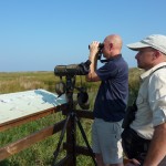 Valencian Coastal Wetlands Trip - 2nd October 2011
