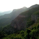 Species List for La Drova & Barx Valley