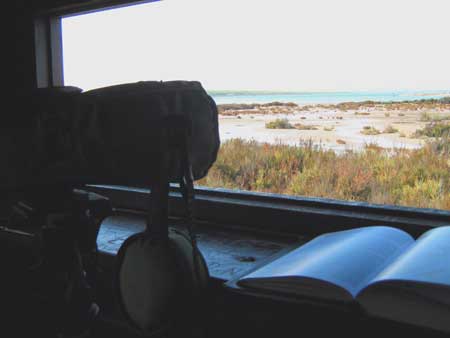 Scoping across the shoreline rewarded us with views of Kentish Plover and Sanderling