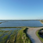 An Afternoon at Albufera de Valencia