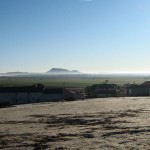 Winter Birding in Castilla de la Mancha