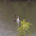 Albufera de Valencia