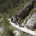 Ladies´ Birding Group Trip to the Mountains of Valencia