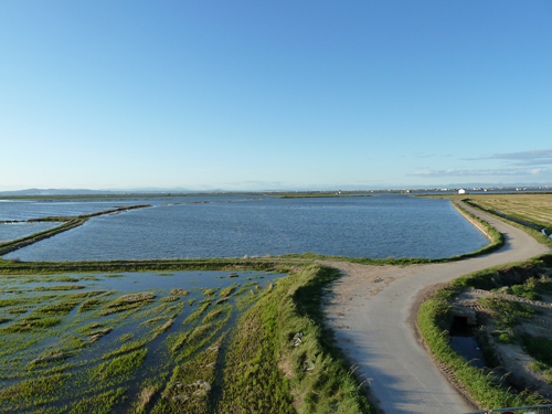 wetlands