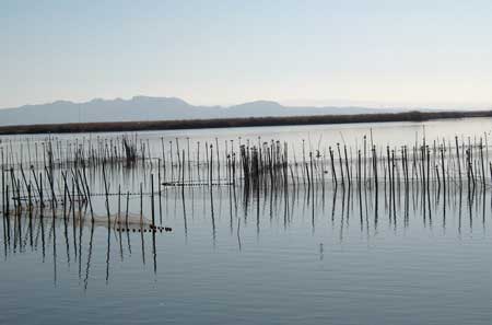 Albufera de Valencia