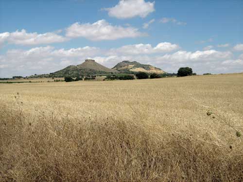 Steppe of Castilla de la Mancha