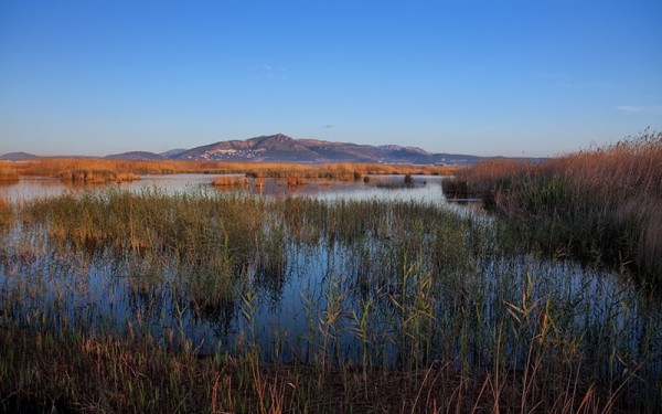 Valencian Coastal Wetlands