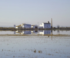 Bird Watching at Albufera de Valencia