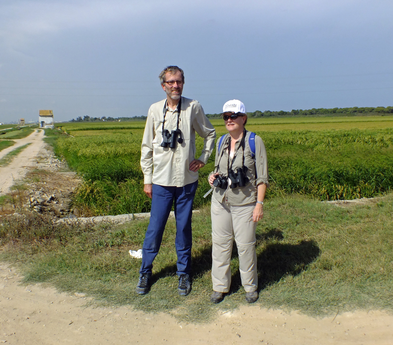 Guided birding in Valencia